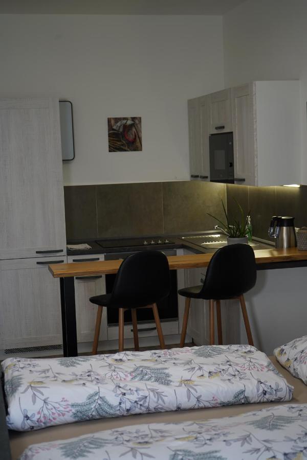 Hofmann Apartment Cheb Kültér fotó