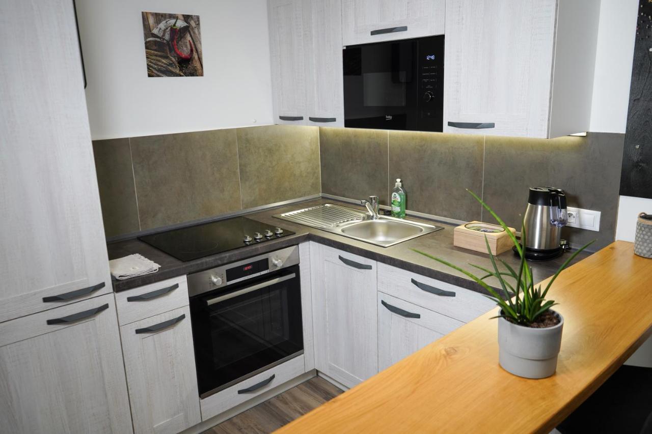 Hofmann Apartment Cheb Kültér fotó